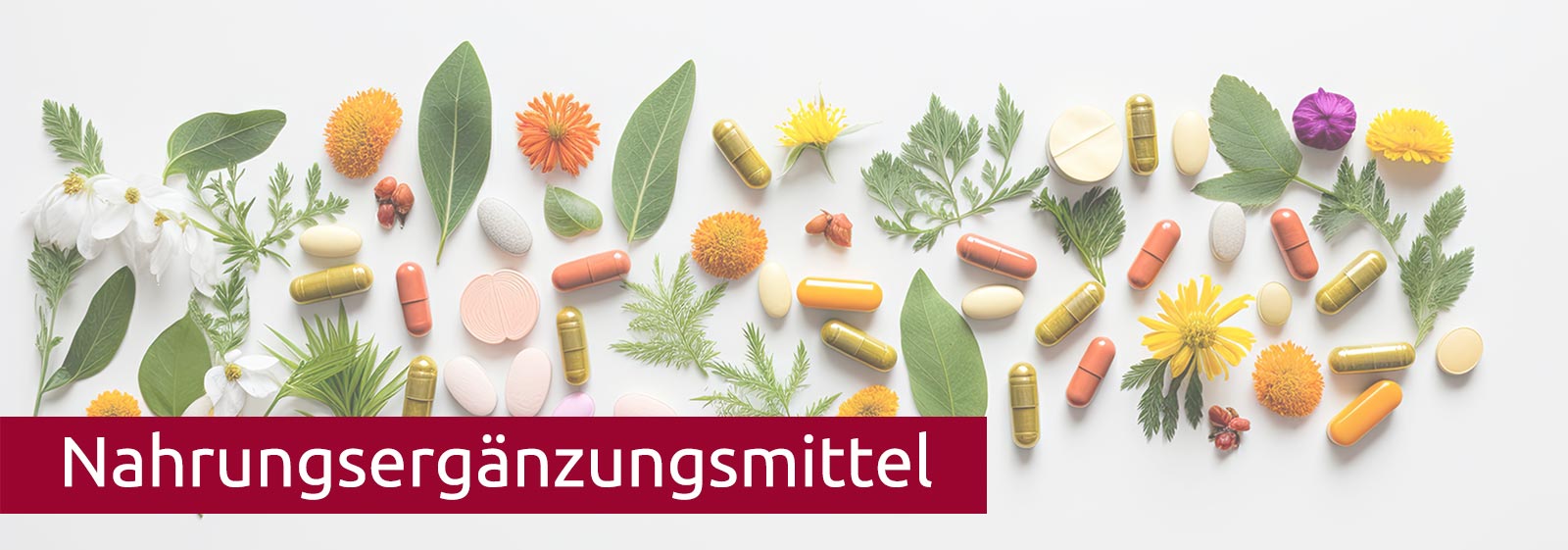 nahrungsergaenzungsmittel