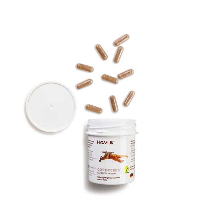 Vitalpilz Cordyceps - Die Kapseln sind 100% vegan und natürlich Vitalpilz Cordyceps - Die Kapseln sind 100% vegan und natürlich